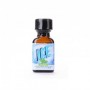 Poppers ICE Menthe 24ml