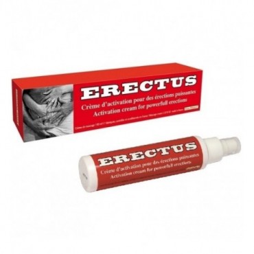 Erectus