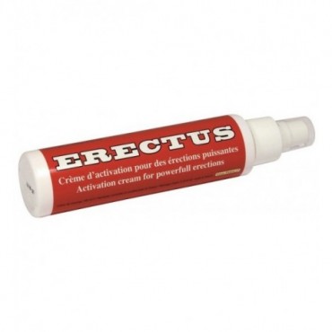 Erectus