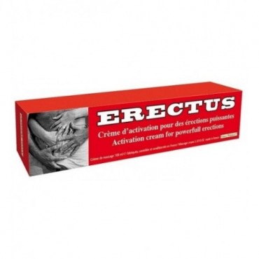 Erectus